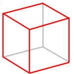 スワミィはリハビリ中よ❤